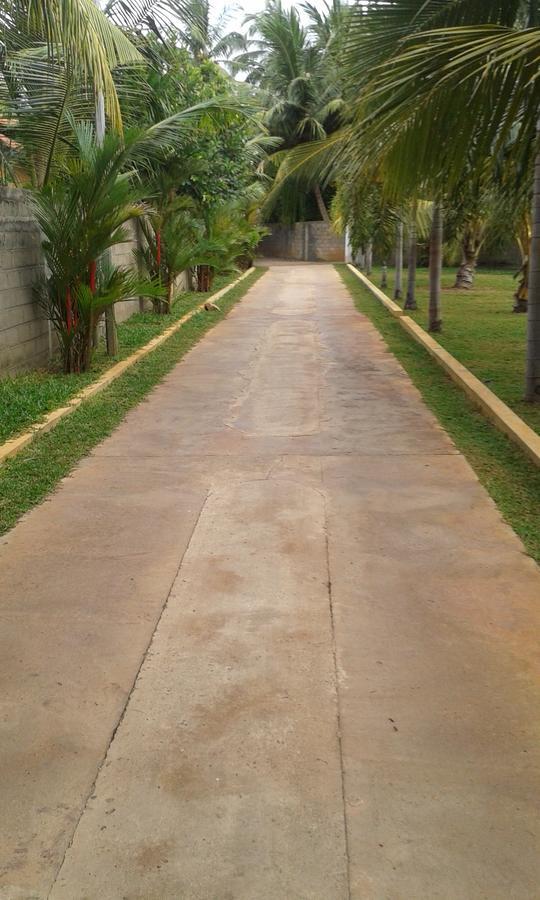 Grand Hilton Hotel Negombo Dış mekan fotoğraf